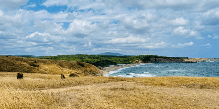 Teahtalks, photo COPYRIGHT RESERVED Teahtalks, photo COPYRIGHT RESERVED